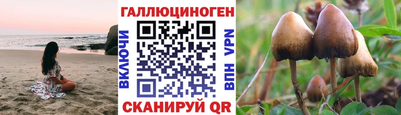 мориарти как зайти  Кизилюрт  hydra рабочий сайт  Псилоцибиновые грибы Psilocybine cubensis  цены  